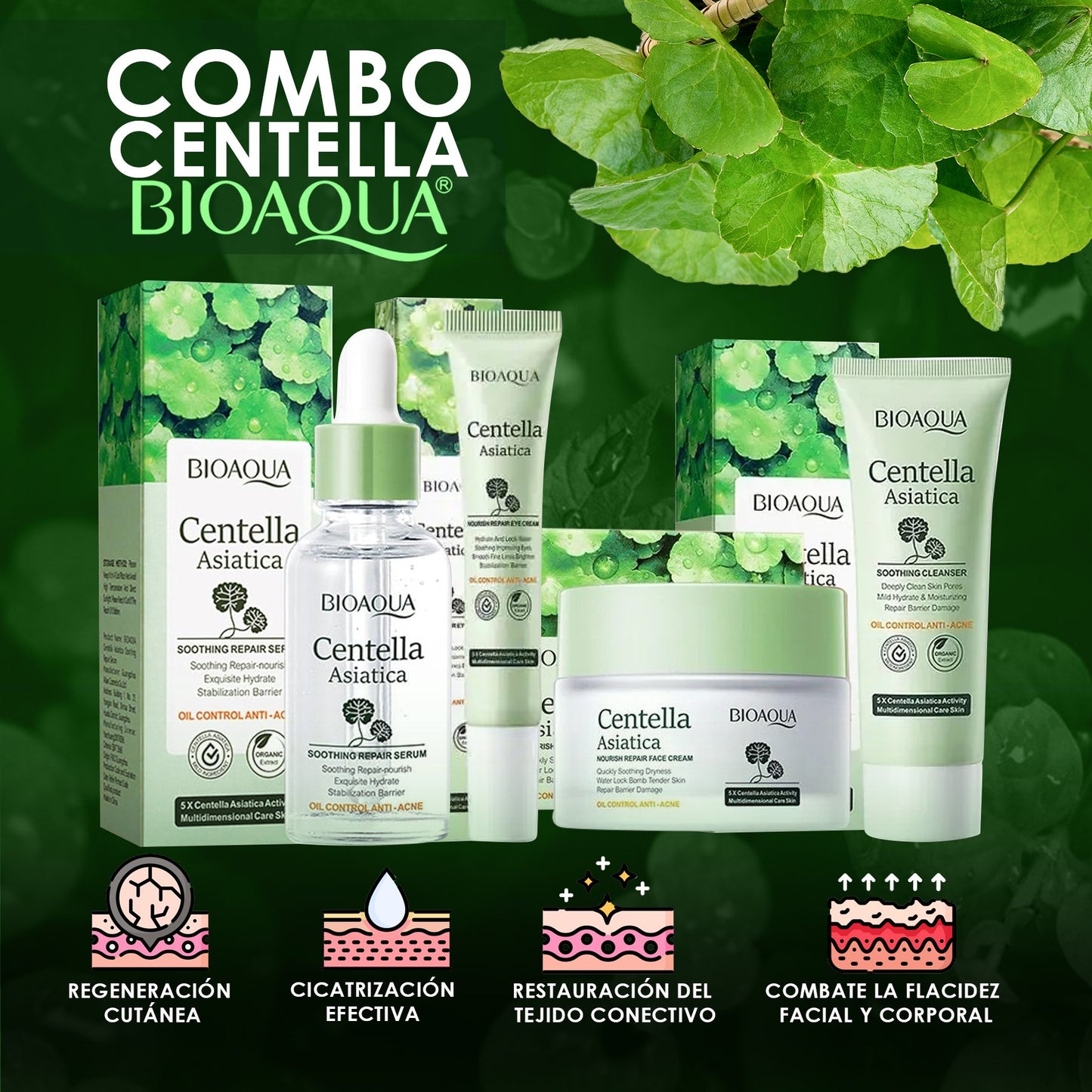 Combo Centella Asiática x 5 + Caja de Seguridad